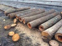 Украина трещит по швам