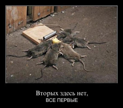 Распределение ответственности в США