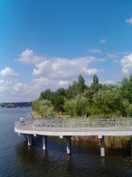 Сводки от ополчения Новороссии 20.07.2015