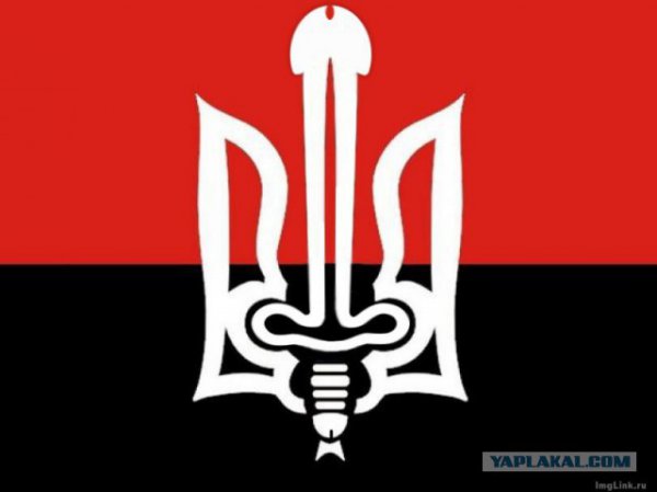 А.Вассерман: «Похоже, что дни Яроша сочтены»