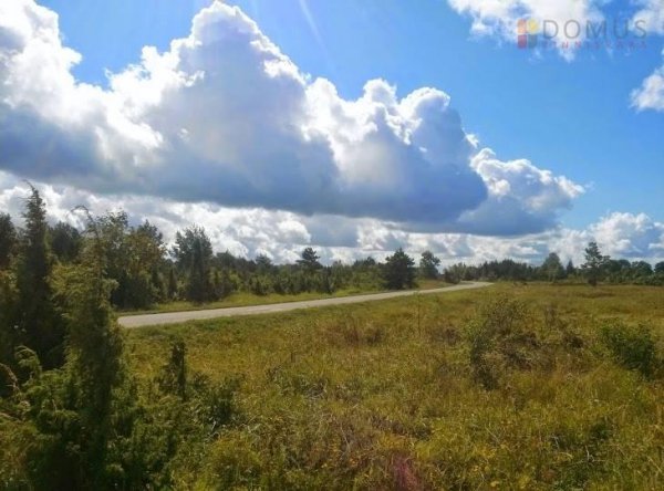 Николай Межевич: «Эстония завела себя в тупик»