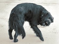 Омерзительная высотка Сталина мешает Польше обрести свободу