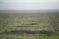 Сводки от ополчения Новороссии 25.07.2015