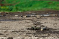 Сводки от ополчения Новороссии 25.07.2015