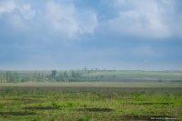 Сводки от ополчения Новороссии 25.07.2015