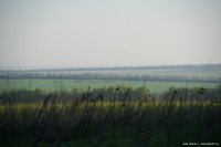 Сводки от ополчения Новороссии 25.07.2015