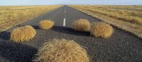 ЕС признал вымирание Прибалтики