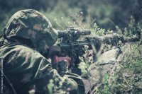 Сводки от ополчения Новороссии 30.07.2015