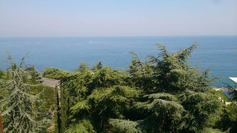 Крымские разговорчики. Крымские разговорчики.