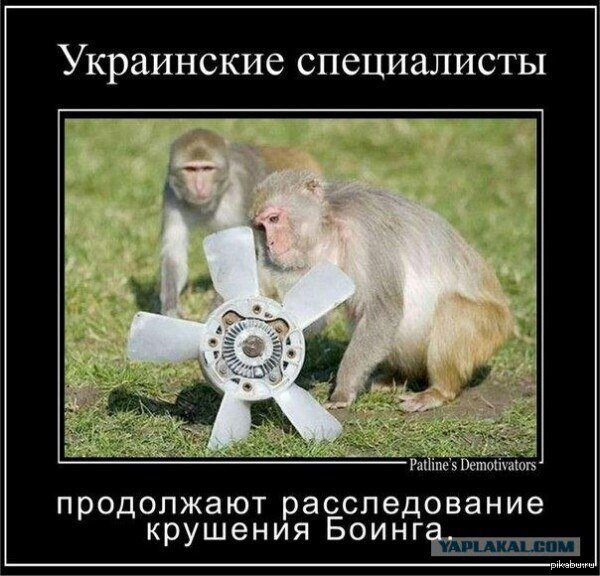 "Мыздобулы" в картинках. Смешных и не очень... 01-08-2015 "Мыздобулы" в картинках. Смешных и не очень... 01-08-2015