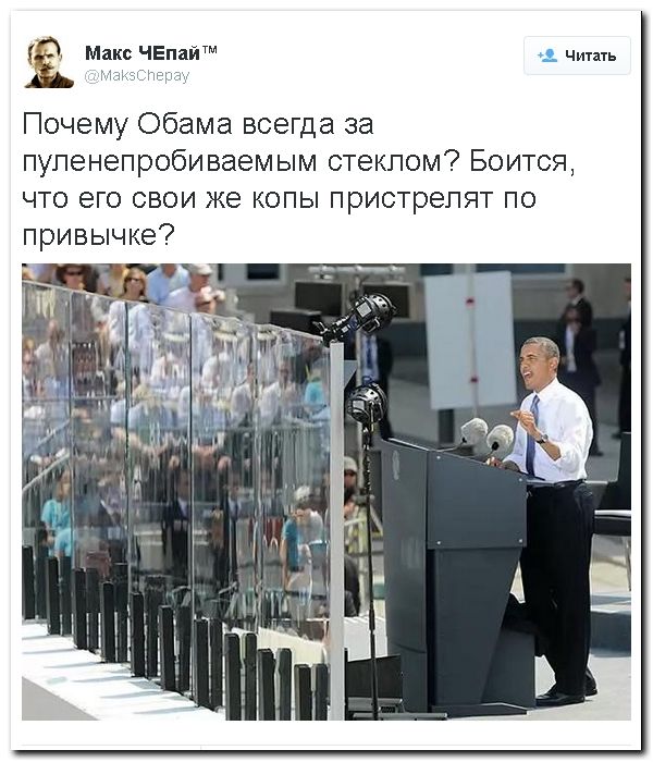 "Мыздобулы" в картинках. Смешных и не очень... 01-08-2015 "Мыздобулы" в картинках. Смешных и не очень... 01-08-2015