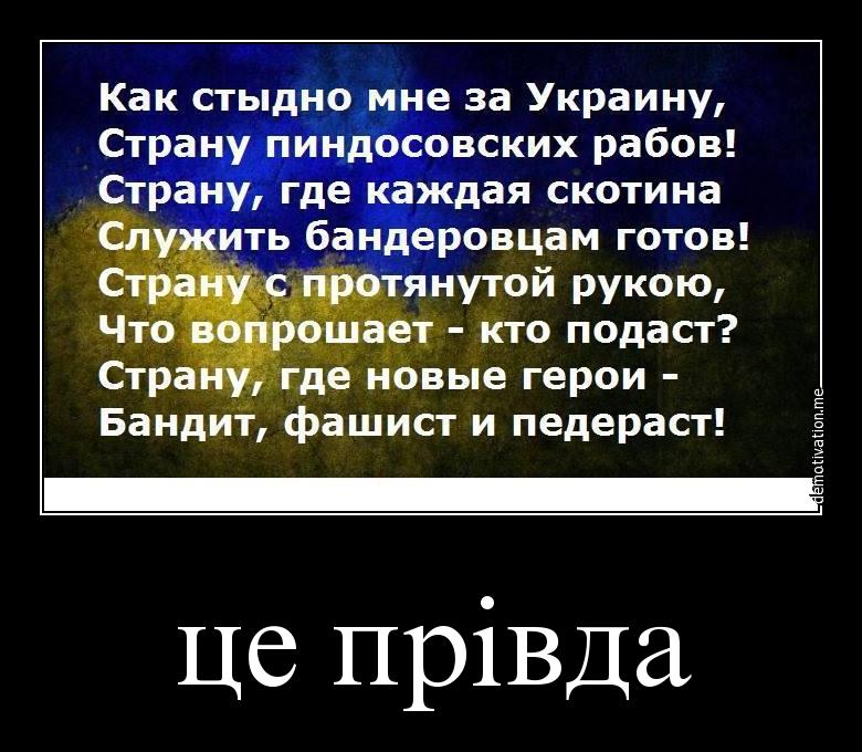 "Мыздобулы" в картинках. Смешных и не очень... 01-08-2015 "Мыздобулы" в картинках. Смешных и не очень... 01-08-2015