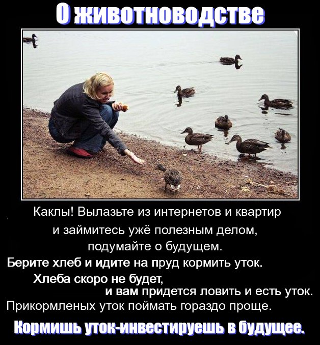 "Мыздобулы" в картинках. Смешных и не очень... 01-08-2015 "Мыздобулы" в картинках. Смешных и не очень... 01-08-2015