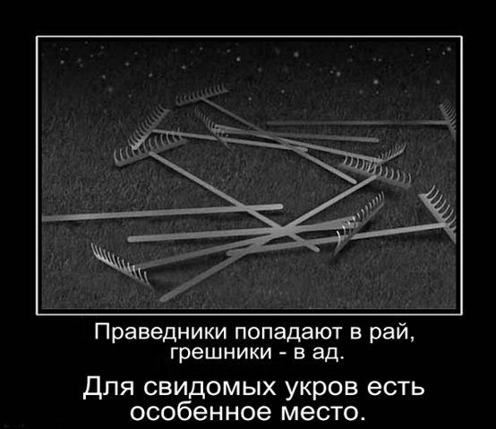 "Мыздобулы" в картинках. Смешных и не очень... 01-08-2015 "Мыздобулы" в картинках. Смешных и не очень... 01-08-2015