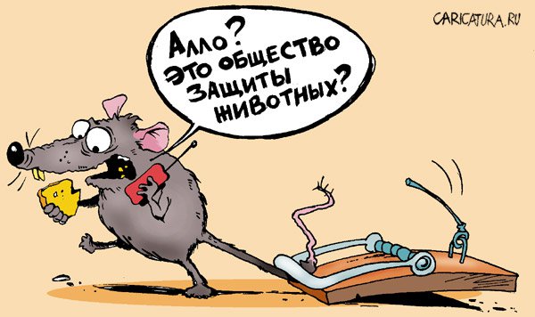 От санкций страдает не только Россия, еще страдает ЕС, а еще очень страдаю Я!!! От санкций страдает не только Россия, еще страдает ЕС, а еще очень страдаю Я!!!