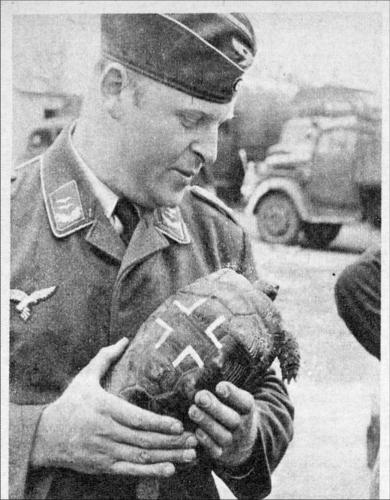 Сводки от ополчения Новороссии 06.08.2015 Сводки от ополчения Новороссии 06.08.2015