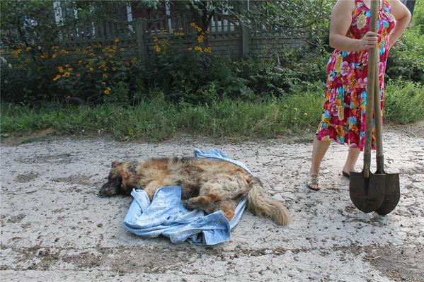 Сводки от ополчения Новороссии 06.08.2015 Сводки от ополчения Новороссии 06.08.2015