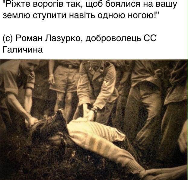 Бешенные грызуны... Бешенные грызуны...