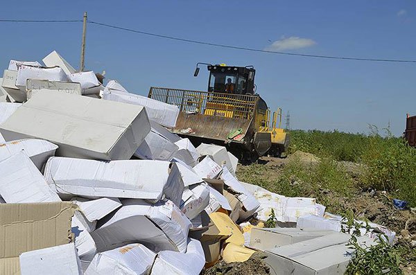 Возвращение блудного сыра
