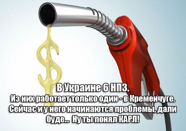 "Мыздобулы" в картинках. Смешных и не очень... 11-08-2015 "Мыздобулы" в картинках. Смешных и не очень... 11-08-2015