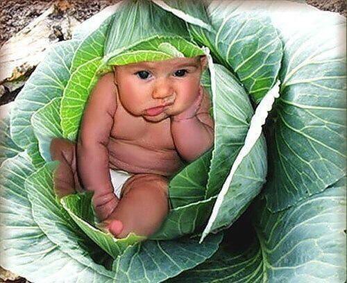 Почему у детей наблюдается синдромом дефицита внимания и гиперактивности.