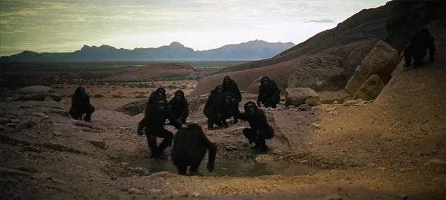 Пьяные солдаты ВСУ в Донбассе расстреляли отдыхающих на пруду Пьяные солдаты ВСУ в Донбассе расстреляли отдыхающих на пруду