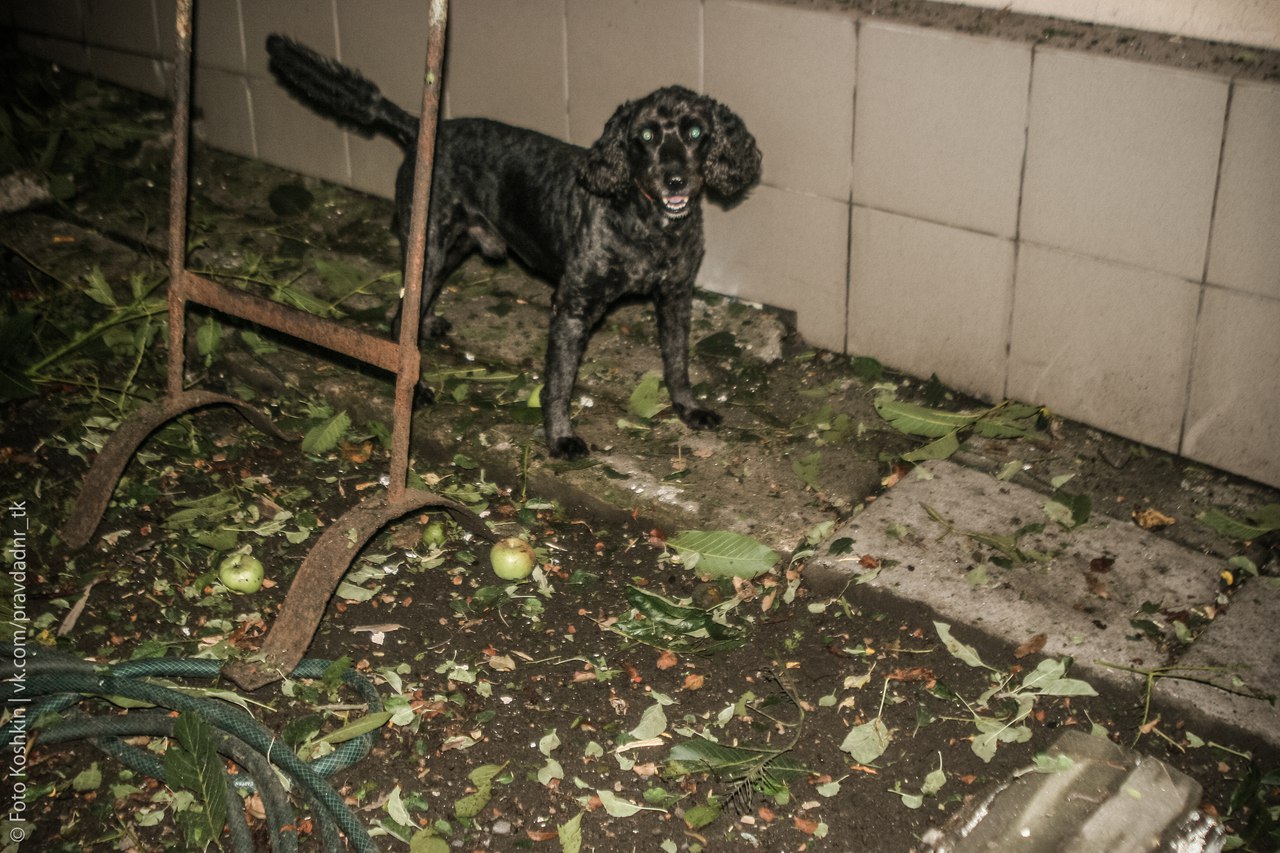 Сводки от ополчения Новороссии 17.08.2015