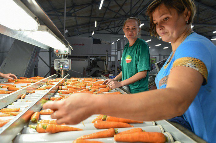 На сельскохозяйственном фронте есть перемены