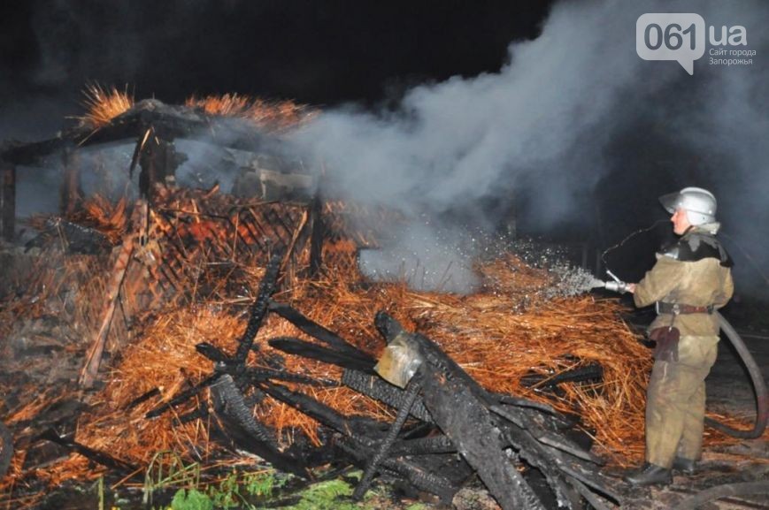 Зомби-апокалипсис в Запорожье после которого сгорела Запорожская Сечь Зомби-апокалипсис в Запорожье после которого сгорела Запорожская Сечь