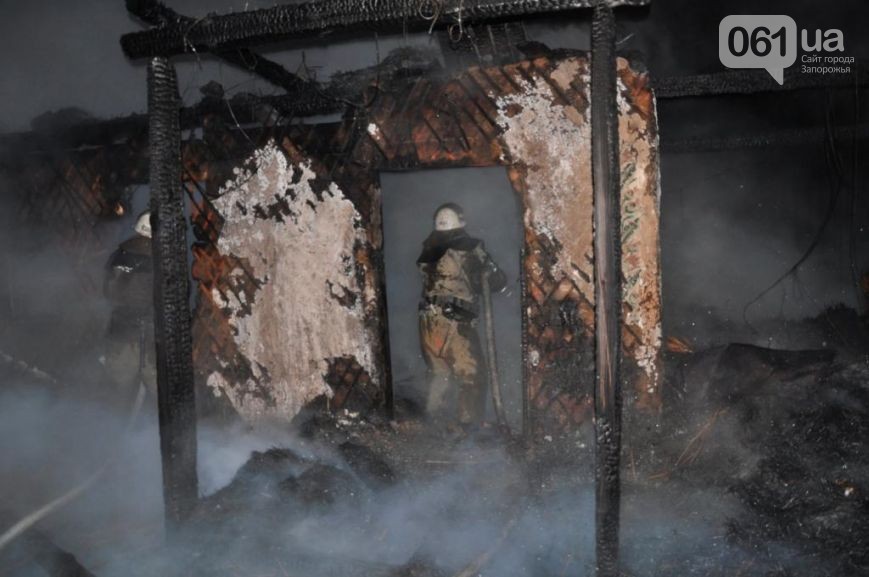 Зомби-апокалипсис в Запорожье после которого сгорела Запорожская Сечь Зомби-апокалипсис в Запорожье после которого сгорела Запорожская Сечь