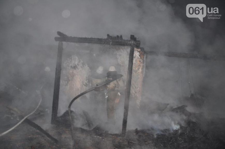 Зомби-апокалипсис в Запорожье после которого сгорела Запорожская Сечь Зомби-апокалипсис в Запорожье после которого сгорела Запорожская Сечь