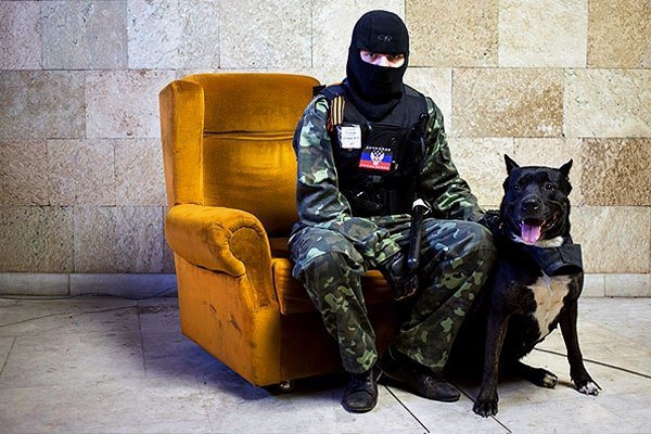 СБУ. Амнистия для ополчения СБУ. Амнистия для ополчения