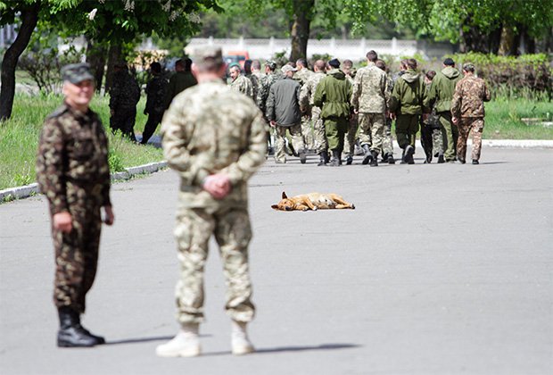 Политика Украины: всеобщая мобилизация