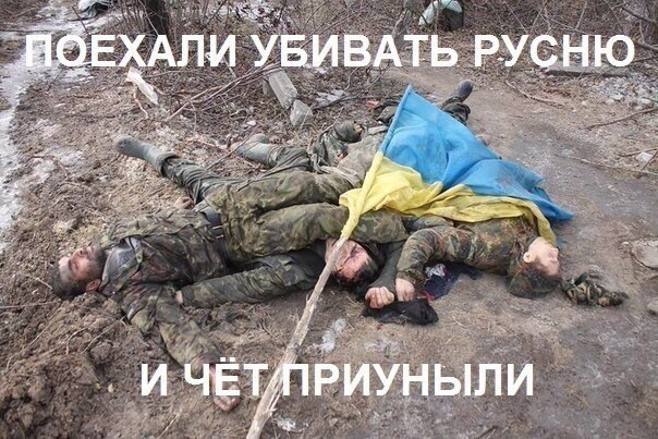 "Мыздобулы" в картинках. Смешных и не очень... 20-08-2015