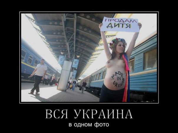 "Мыздобулы" в картинках. Смешных и не очень... 20-08-2015