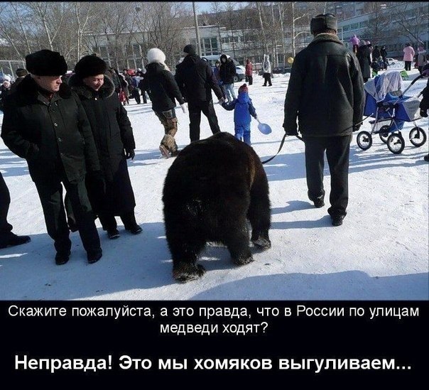 "Мыздобулы" в картинках. Смешных и не очень... 20-08-2015