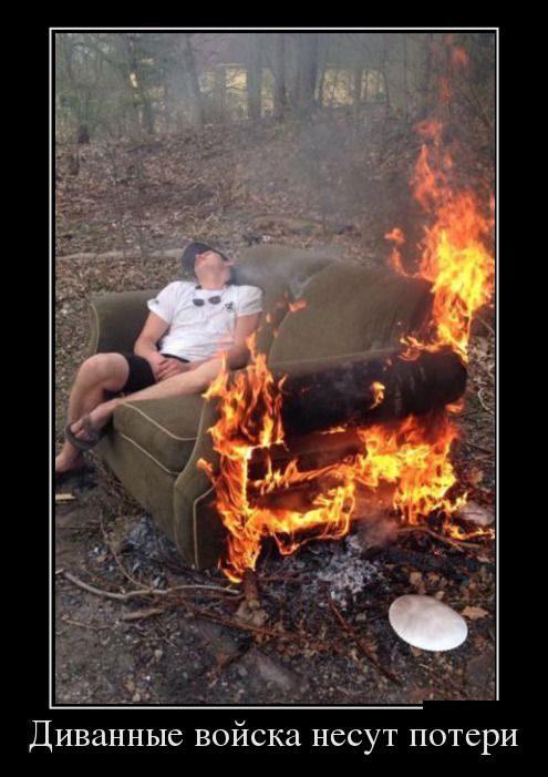 "Мыздобулы" в картинках. Смешных и не очень... 20-08-2015