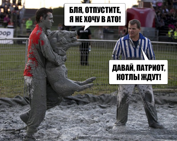 "Мыздобулы" в картинках. Смешных и не очень... 20-08-2015