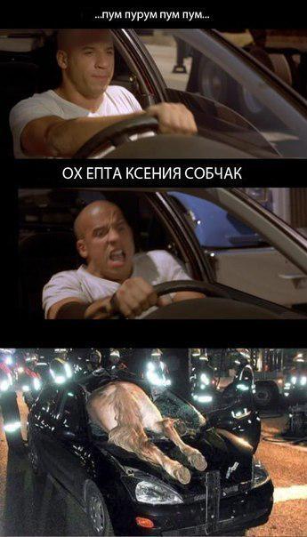 "Мыздобулы" в картинках. Смешных и не очень... 20-08-2015