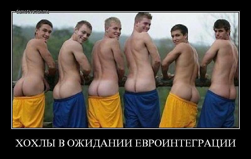 "Мыздобулы" в картинках. Смешных и не очень... 20-08-2015