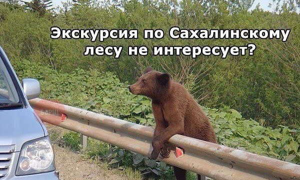 "Мыздобулы" в картинках. Смешных и не очень... 20-08-2015