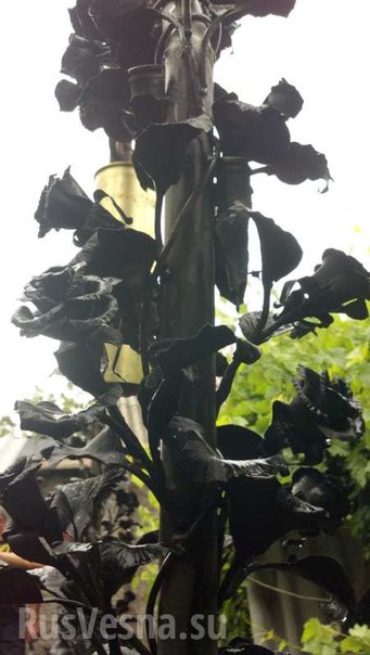 Сводки от ополчения Новороссии 20.08.2015