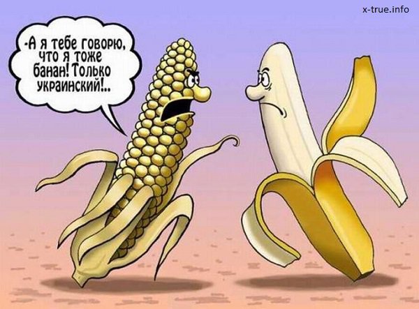 Украина превратилась в банановую республику