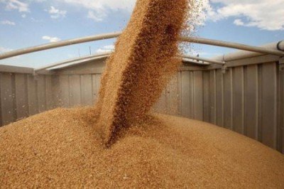 В ДНР пошли поставки российского селекционного зерна В ДНР пошли поставки российского селекционного зерна