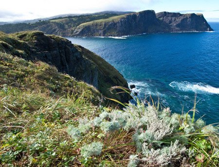 Россия сегодня. Курилы останутся за нами Россия сегодня. Курилы останутся за нами