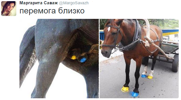 На манеже всё те же - подборка картинок (12)
