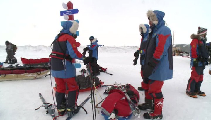 Арктика. Реабилитационный центр Арктика. Реабилитационный центр