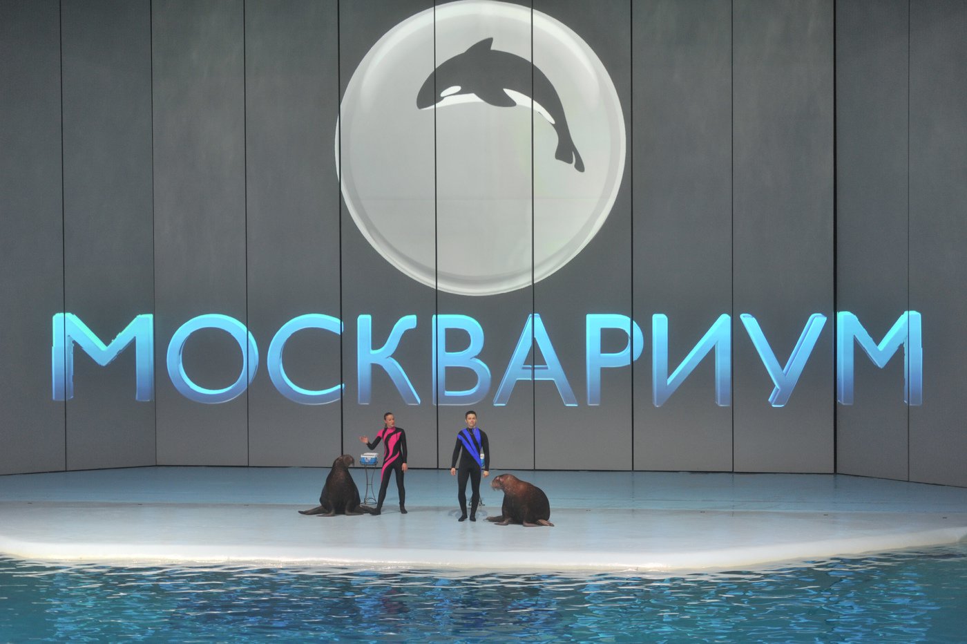 Новости "вечно отсталой России" Новости "вечно отсталой России"