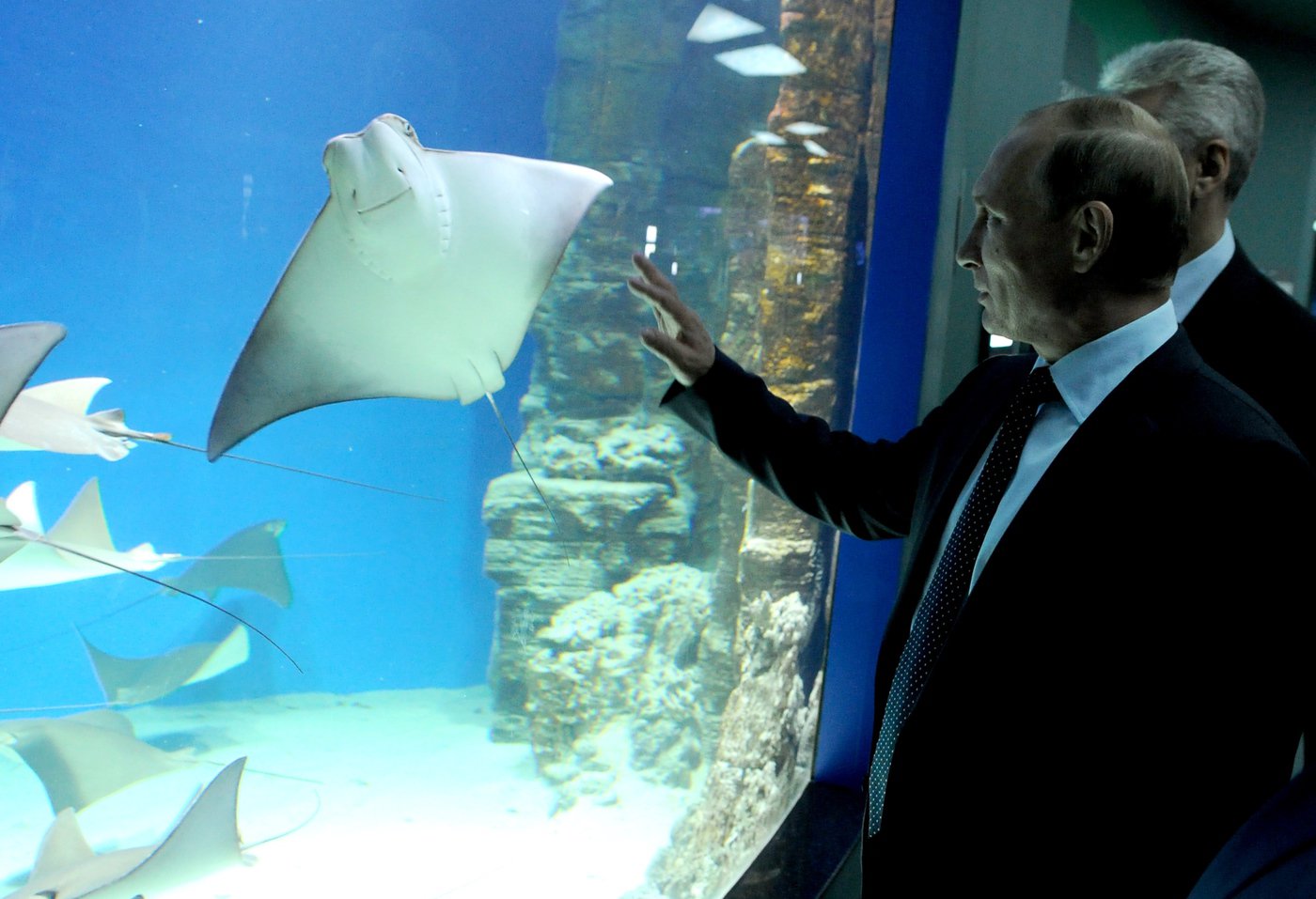 Новости "вечно отсталой России" Новости "вечно отсталой России"