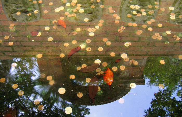 Министр "астрологии" Глюкаев заявил о достижении российской экономикой "хрупкого дна" Министр "астрологии" Глюкаев заявил о достижении российской экономикой "хрупкого дна"